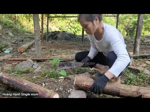 2 years living in the forest. built a house out of bamboo. bad guys followed and ....