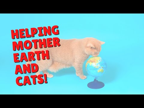 Earth Day for Cats | Two Crazy Cat Ladies