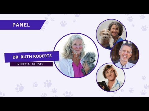 Holistic Dog Care Summit Kick Off Panel