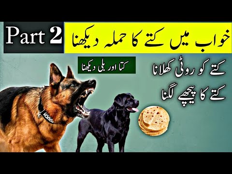 Khwab mein kutte ka hamla dekhna | khwab mein kutta dekhna | Khwab mein kutte ko roti khilana