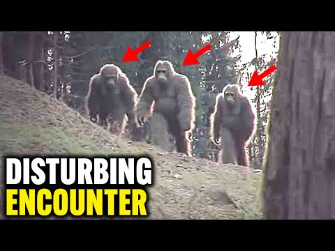 This Man Captured The MOST Convincing Images Of Bigfoot EVER Taken!