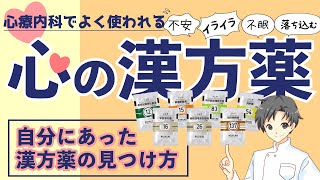 【不安やイライラに】神経症に効果的な7種の漢方薬｜特徴と使い分け【薬剤師が解説】