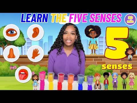 The Five Senses For Kids| Learning with Ms Houston