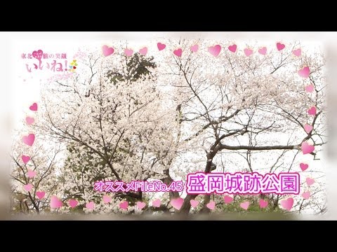 【盛岡城跡公園】お花見と紅葉狩り／ご当地女子のいいね！FileNo.45