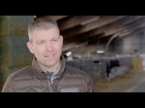 Field experience: Vaccination for the control of the mastitis