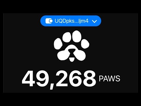 PAWS 🐾 update on listing and mining end 👌🏾