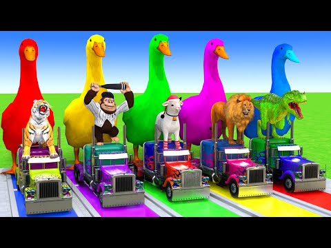 5 Giant Duck Cartoon,Cow,Elephant,Tiger,Lion,Dinosaur,Paint Wild Animals Crossing Fountain Animation