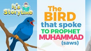 Storytime - The Bird that Spoke to Prophet Muhammad (saws)