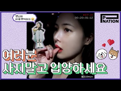 현아잉 (HyunA-ing) E16: 여러분 사지말고 입양하세요 (Everyone, Please Adopt Pets From Shelters)