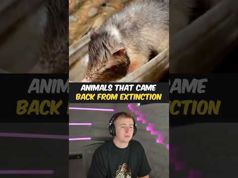 Animals Which Came Back From Extinction!