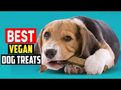 Top 5 Best Vegan Dog Treats in 2023