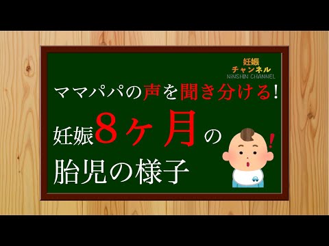 【妊娠8ヶ月】入院や出産の準備を始める時期🤔 妊娠8ヶ月にやること！