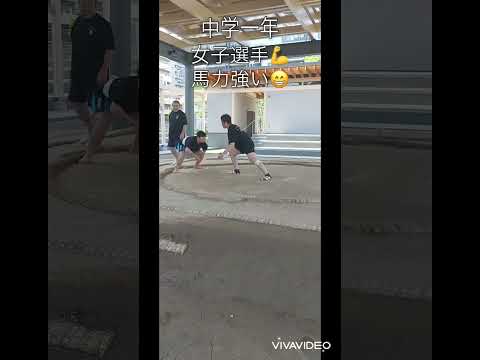 【わんぱく相撲】大会に向けて💪小学低学年〜中学女子稽古様子😁道場生募集中、相撲未経験大歓迎❗️2024.5.4(土)【五十嵐相撲倶楽部】