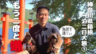 【犬連れ神奈川箱根旅行観光編】二度と無理!心洗われる旅になるはずが。。箱根神社 箱根芦ノ湖遊覧船 箱根唐揚げKARATTO 成川美術館 一泊二日わんこ旅1/3 旅するペットショップの売れ残りと元保護犬