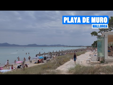 Playa de Muro Mallorca 🇪🇸 Afternoon ☀️