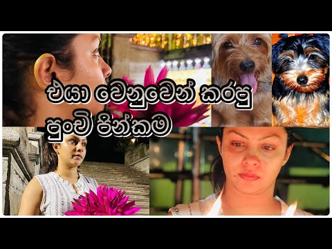 එයා වෙනුවෙන් කරපු පින්කම