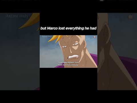 Marco edit onepiece #short #shorts #anime #trend #animeedit #onepiece #marcoedit #onepieceedit