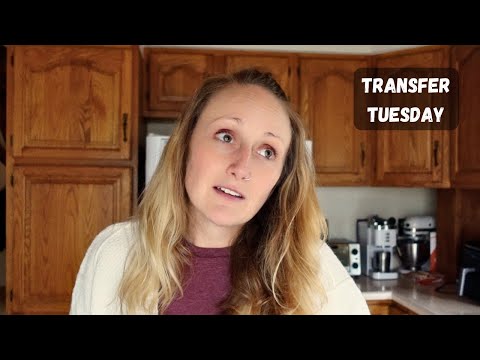 The ups and downs of contract work - low W2 income | Transfer Tuesday