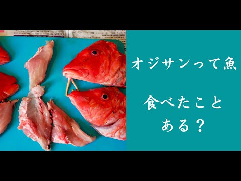 【魚】オジサンって食べたことある？アラ汁で食べてた