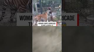 #tiger #animals #lion #funny #shortsyoutube #shortsviral #shortsvideo #shortsbeta