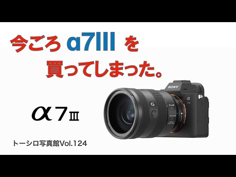 【今ごろかよ】SONY α7Ⅲはまだ現役を張れるか？