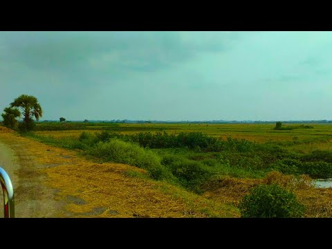 গ্রামের অপরূপ দৃশ্য | Beautiful Village | Rupkothar Golpo