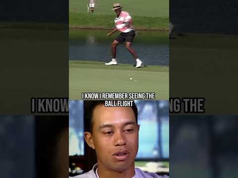 #blackgolfers #athlete #golfer #celebrity #golflife #tigerwoods #golfswag #progolfers #golf