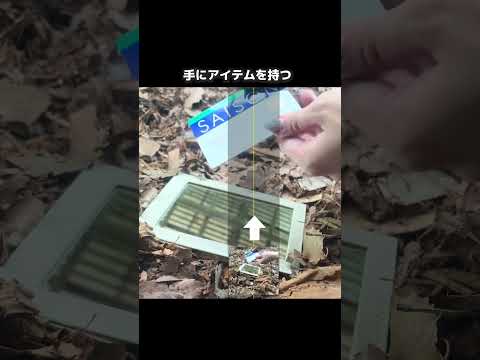 鏡に映らない！？トリック写真の撮り方！