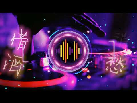 借酒消愁dj Dj Remix 中文舞曲