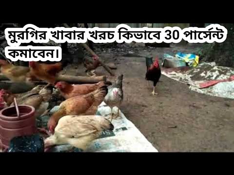 How to make Very Cheap Poultry Feed// সবচেয়ে সস্তায় মুরগির খাবার কিভাবে বানাবেন //