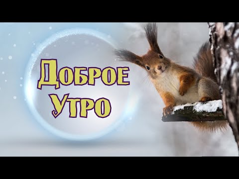 Начни УТРО с ЭТОЙ ПЕСНИ! 💥ПРЕМЬЕРА 2024! 🌝Союз Шадровых - Доброе утро!