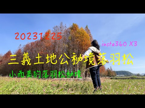 萬ㄟeye台灣20231225三義土地公落羽松   4K