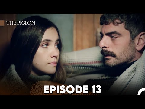 The Pigeon Episode 13 (FULL HD)