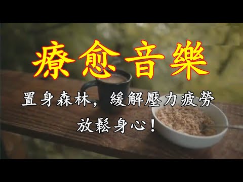 療愈鋼琴音樂，置身森林，緩解壓力疲勞，放鬆身心！