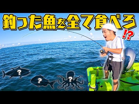 【リベンジ】"1日で釣った魚"を全て食べきれ！！で鯛を釣りたい！！！