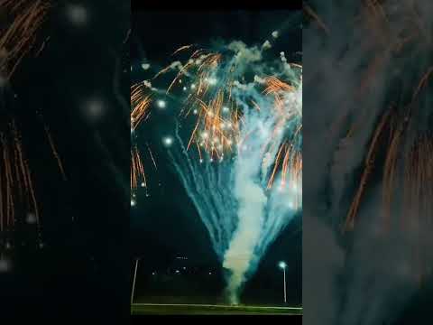 Close-up of a firework exploding in the sky | fireworks shorts | new year celebrations #shorts