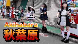 【４Ｋ60】walk in Akihabara【秋葉原をお散歩】2024年9月21日