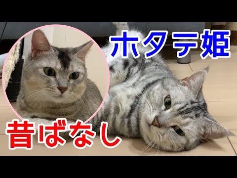 【昔ばなし】猫太郎とホタテ姫　おしゃべりペット