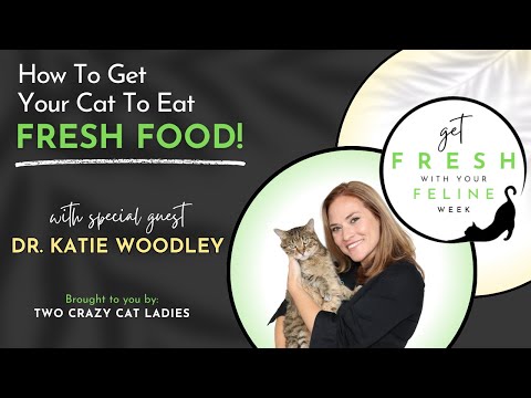 How To Get Your Cat To Eat Better with Dr. Katie Woodley | Get Fresh With Your Feline