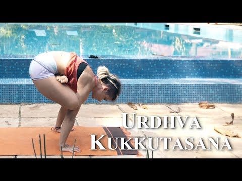 Urdhva Kukkutasana A B C | Jelena Vesic