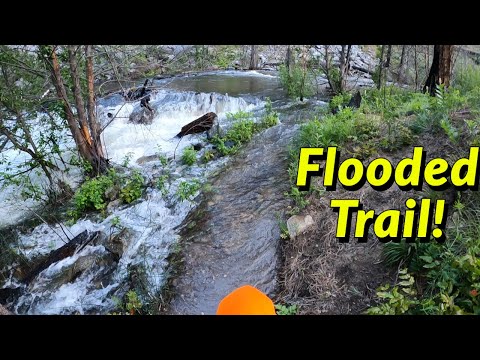 Lower Mad River Trail is finally open! (Kinda) - Part 1: Flooded Trail