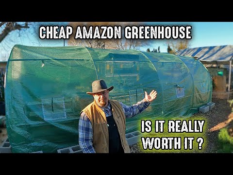 Cheap Amazon Walk-In Greenhouse (Easy Build) |  Is It Worth It? My Thoughts, Opinions & Experiences