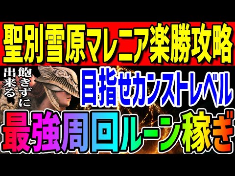 【エルデンリング】レベル500～聖別雪原マレニア最強周回ルーン稼ぎノーカット攻略【ELDEN RING】Ver1.13.2 攻略 裏技 レベル上げ ボス攻略