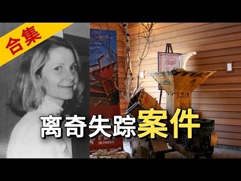 美国空姐人间蒸发，华人神探极限推理破获无尸命案，40分钟合集