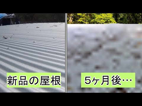 山林土地の屋根を5ヶ月放置したら意外な結果に