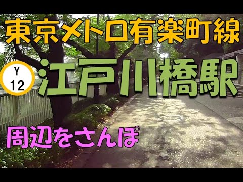 【実況街散歩】江戸川橋駅(有楽町線) 桜の穴場 Walking around Edogawabashi Station