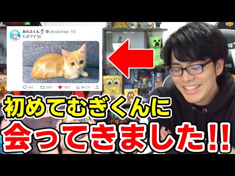 ✂️ ドズルさんがおらふくんの飼っている猫のむぎくんに会ってきた話【ドズル社/切り抜き】