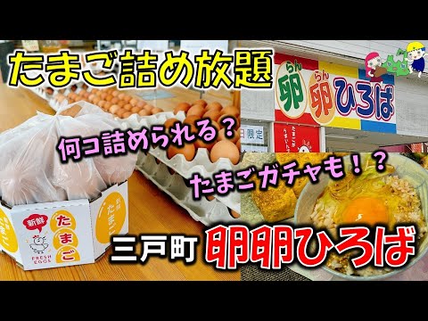 【青森詰め放題実況】「卵卵ひろば」でたまご詰め放題＆たまごガチャをしたら楽しすぎた！？（三戸町）田子たまご村　緑の一番星　卵卵ひろば