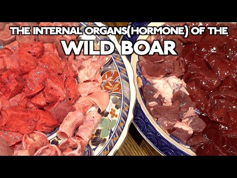 The internal organs(Hormone)of the wild boar!!