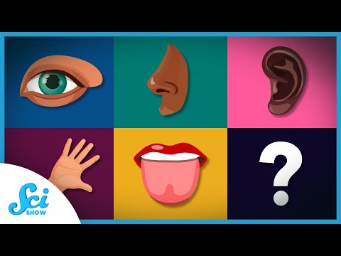 Do we have more than 5 senses?